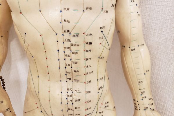 腰痛の十二経脈病症治療