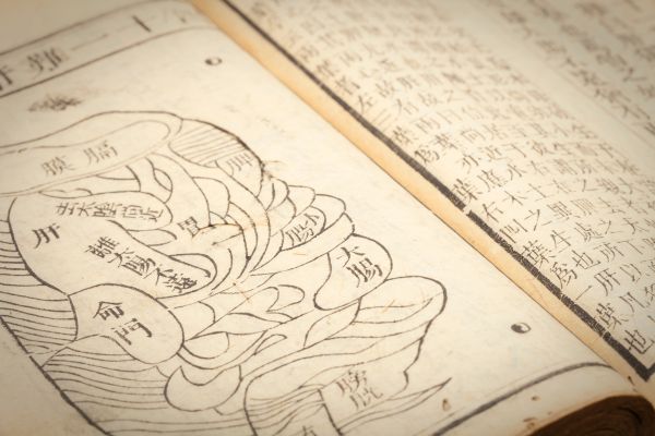 慢性腰痛を東洋医学で整理した図｜古河市の鍼灸整体院