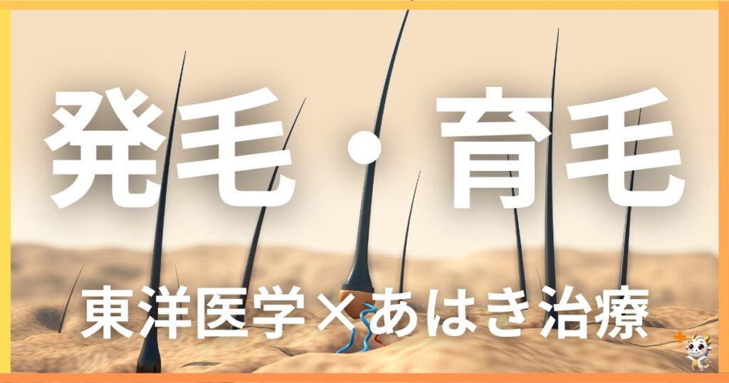 発毛促進・育毛サポートを東洋医学の視点から解説|鍼灸・あん摩マッサージ指圧で自然に改善する方法