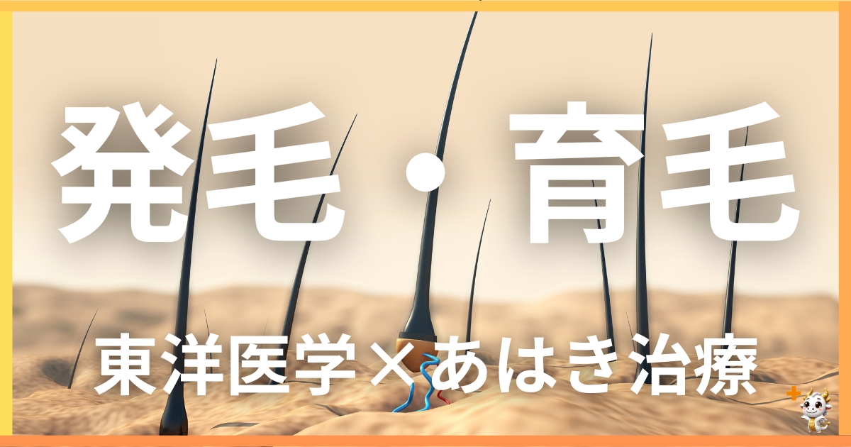 発毛促進・育毛サポートを東洋医学の視点から解説|鍼灸・あん摩マッサージ指圧で自然に改善する方法
