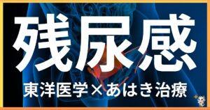 残尿感を東洋医学の視点から解説｜鍼灸・あん摩マッサージ指圧で自然に改善する方法