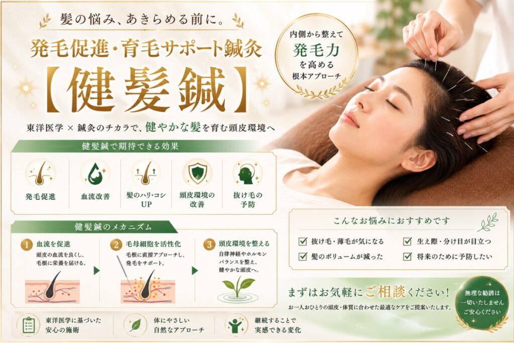 あはき整体治療院の健髪鍼【育毛鍼・発毛鍼】